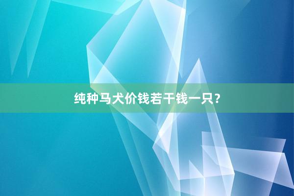 纯种马犬价钱若干钱一只？